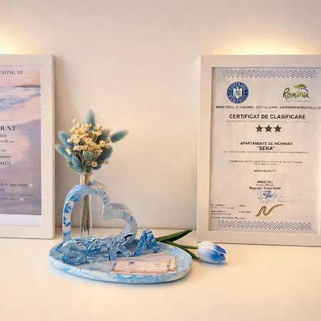Apartment Seka Mamaia Nord